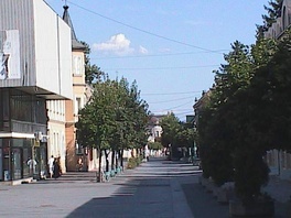 Samoubistva u Prnjavoru i Bosanskoj Dubici