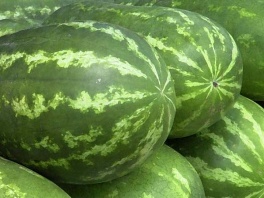 Kineski farmeri u problemima zbog lubenica koje eksplodiraju