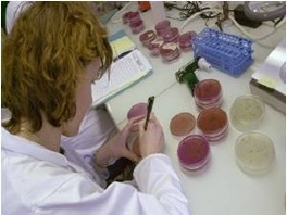 Njemačka: 2.000 inficiranih i 17 mrtvih znak epidemije