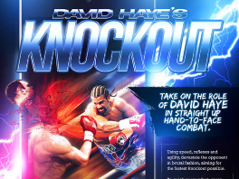 David Haye's Knockout