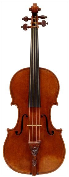 Violina