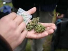 U Brčkom pronađena marihuana