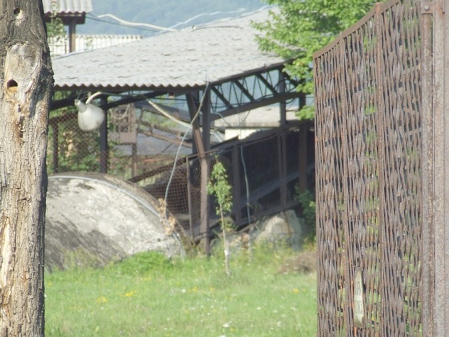 Ulaz u jamu Haljinići (Foto: ZEDA)