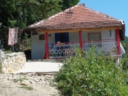 Kuća porodice Dizdarević (Foto: Zeda)