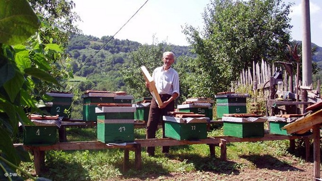 Ramo Ademović