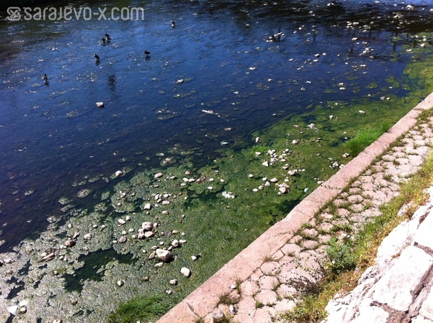 Foto: Sarajevo-x.com