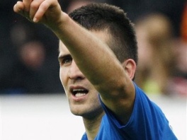 Vedad Ibišević na meti slavnog Evertona