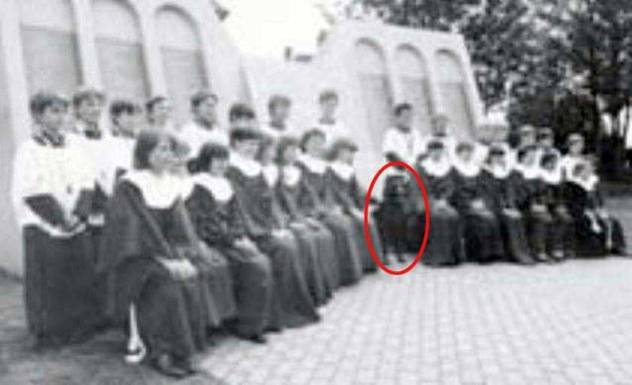 Fotografija je predmet istraživanja tzv. lovaca na duhove. Silueta labradora koji je poginuo 1944. godine?
