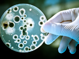 Evropu napale superbakterije otporne na najmoćnije antibiotike