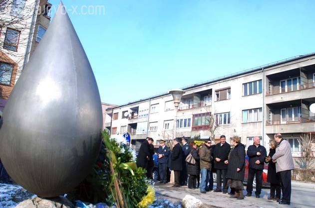 Foto: Darko Zabuš/Fotoservis