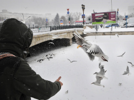 Broj umrlih u Rumuniji porastao na 74 (Foto: AFP)