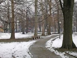 Povrijeđeni stabilno, pobješnjeli pas bio bez vlasnika i brnjice