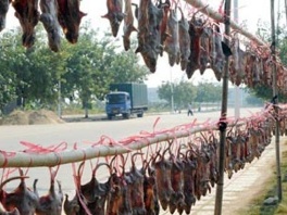 Da li biste probali pečene miševe kineskog mesara?
