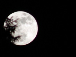 Mjesec u perigeju (Foto: A. Panjeta/Klix.ba) (Foto: A. P./Klix.ba)