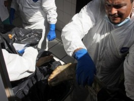 Policija sakuplja ostatke tijela (Foto: AFP)
