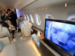 Novi poslovni avion (Foto: AFP)