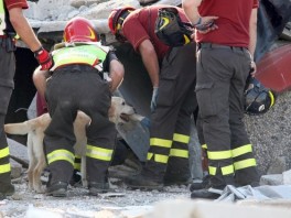 Spašavanje zatrpanih ispod ruševina (Foto: AFP)