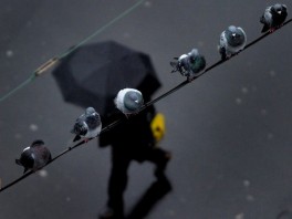 Ne zaboravite kišobran (Foto: AFP)