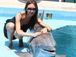 Victoria Beckham s delfinom