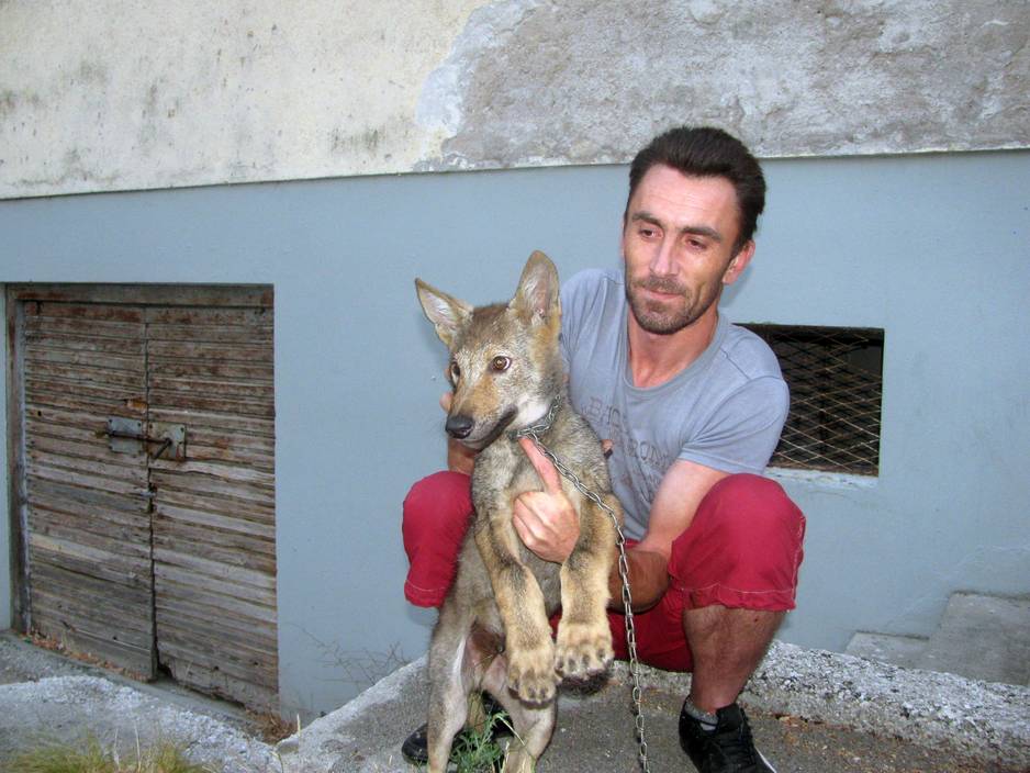 Foto: Srna