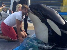 Pique i Shakira uživaju u odmoru družeći se sa orkom