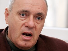 Žarko Puhovski: BiH mora dobiti Luku Ploče