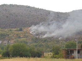 Požar u naselju Donja Jasenica većim dijelom lokalizovan