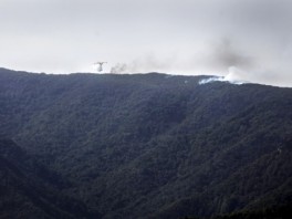 Kanaderi gase šumski požar (Foto: AFP)