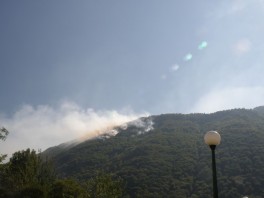 Požar kod Boračkog jezera (Foto: Čitatelj portala Klix.ba)