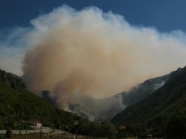 Požar u Jablanici (Foto: Naid Keskin)