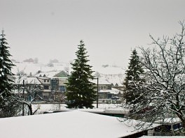 Snijeg u Cazinu (Foto: Čitatelj/Klix.ba)