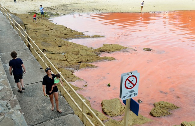 Plaža prije nekoliko dana (Foto: Arhiv/AFP)