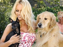Pamela Anderson sa svojim psima