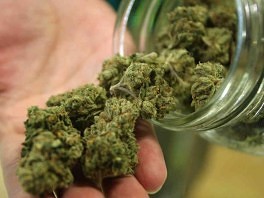 U Vukosavlju pronađena laboratorija za uzgoj marihuane
