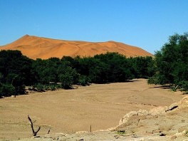 Pustinja Namib (Foto: AFP)