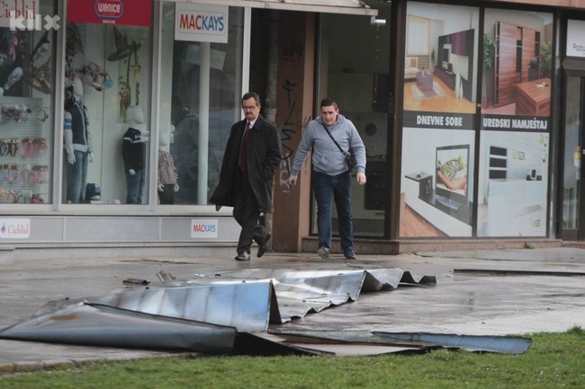 Oboren lim u Sarajevu (Foto: Feđa Krvavac/Klix.ba)
