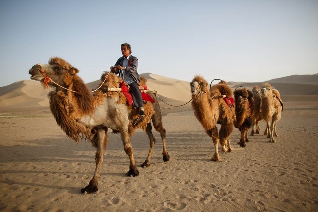 Do oaze na devama (Foto: AFP)