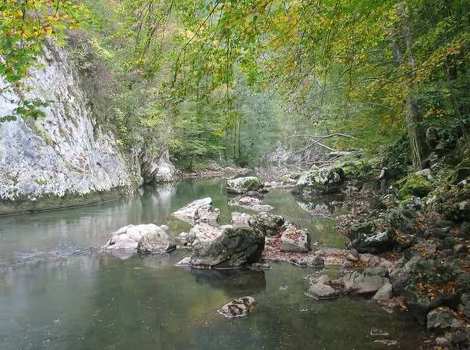 Rijeka Usora