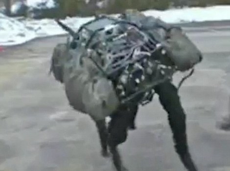 Napravljen robot koji će pronalaziti i sakupljati stoku