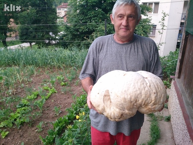 Zlatoje Merdžanović sa velikom gljivom (Foto: Klix.ba)