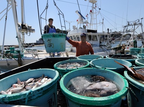 Japanski ribari s ulovom (Foto: AFP)