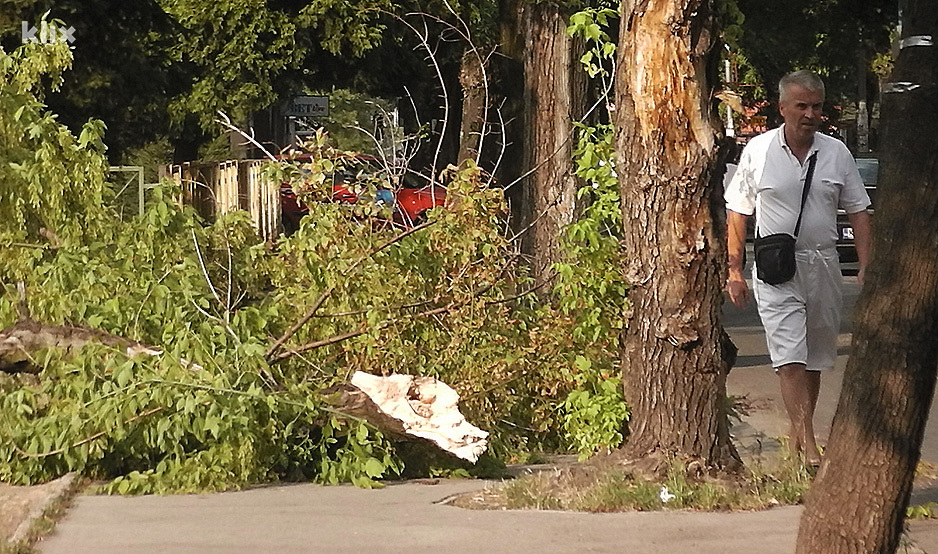 Jak vjetar u Zenici rušio stabla (Foto: Klix.ba)