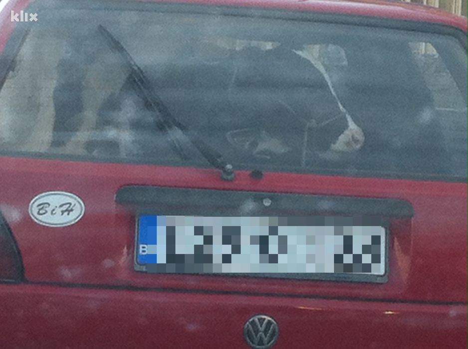 Foto: Čitatelj/Klix.ba