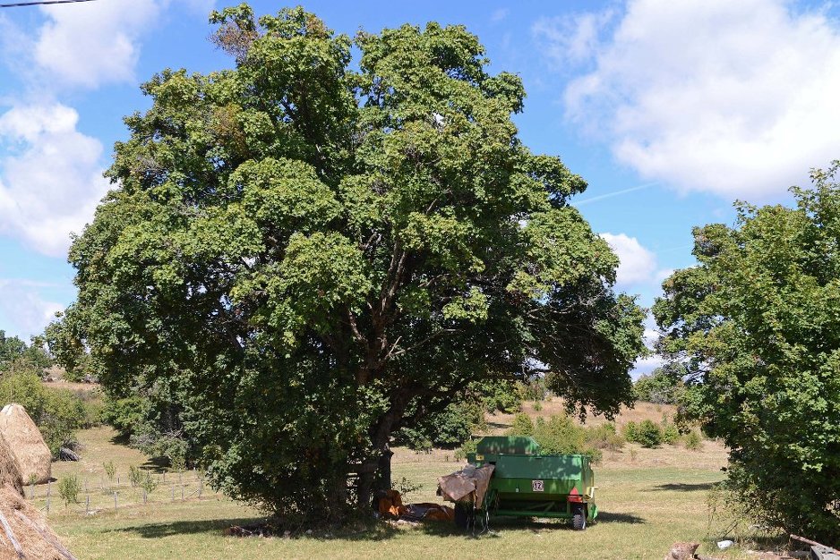 Balirka namijenjena selima Bunčevac, Gilijakovići, Gornje Prekaje i Brda (Foto: CIN)