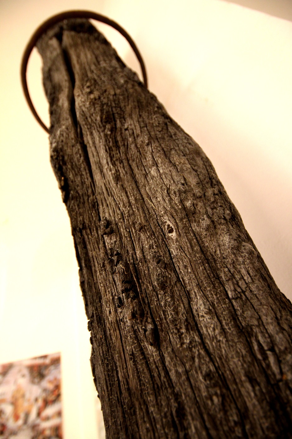 Foto: Anadolija