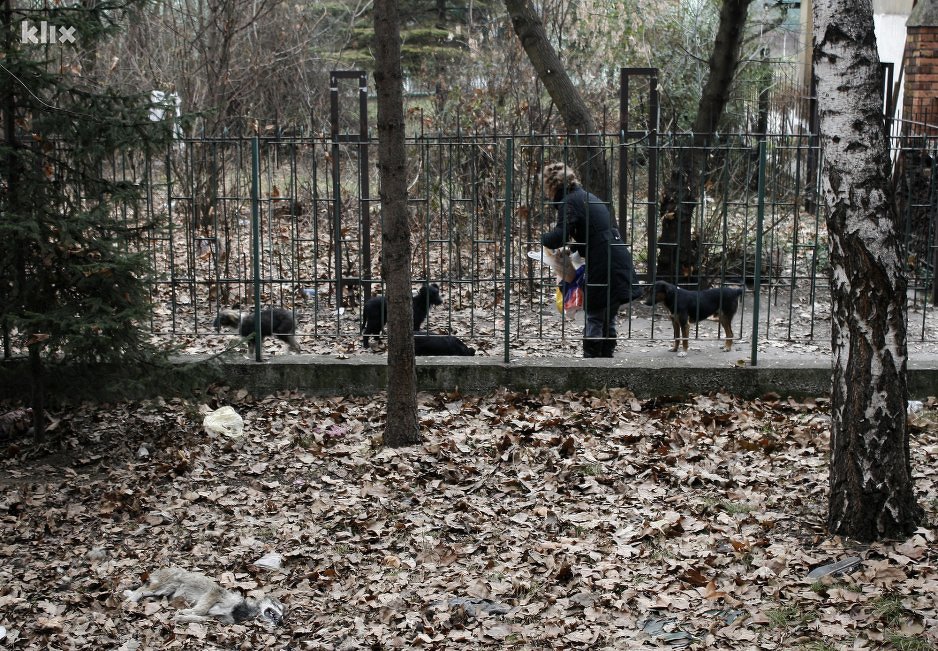 Pse niko ne želi da ukloni (Foto: Elmedin Mehić/Klix.ba)