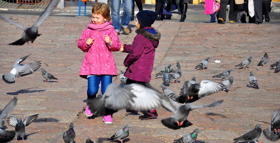 Sunce u Sarajevu (Foto: Anadolija)