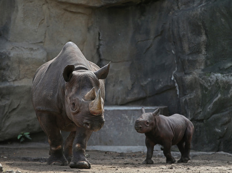 Foto: AFP