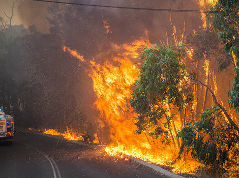 Novi požari u Australiji (Foto: AFP)
