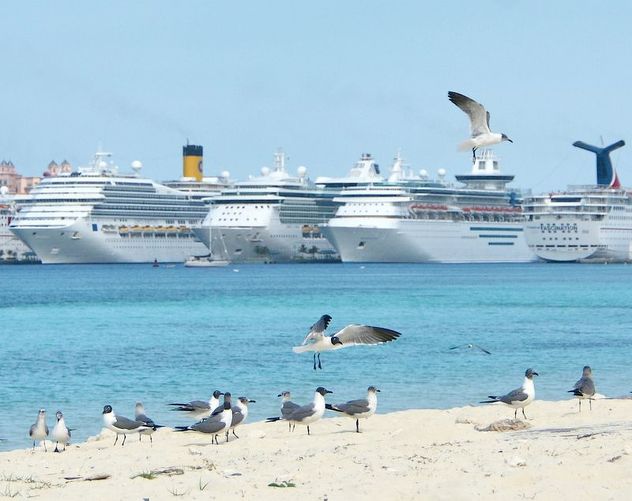 Nassau